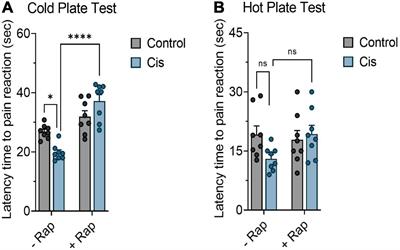 Alleviation of cisplatin-induced neuropathic pain, neuronal apoptosis, and systemic inflammation in mice by rapamycin